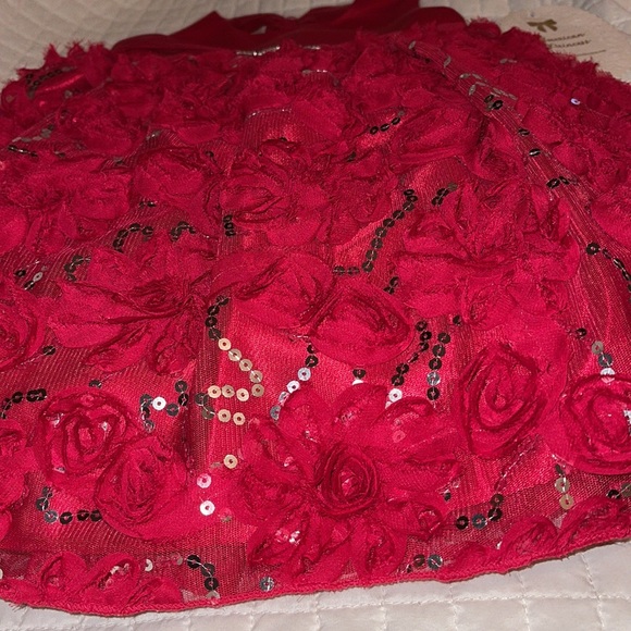 NWT- AMERICAN PRINCESS HOLIDAY DRESS SZ 2T - Picture 2 of 9